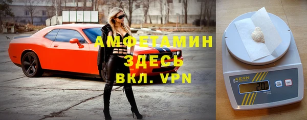 стаф Балахна