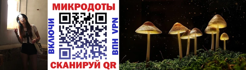 kraken рабочий сайт  Мариинский Посад  Псилоцибиновые грибы GOLDEN TEACHER 